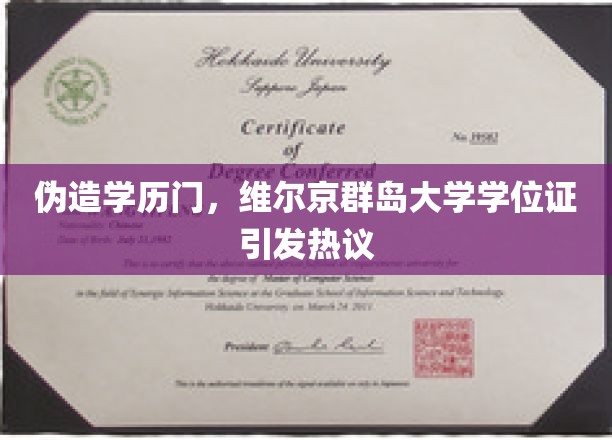 学历造假风波，维尔京群岛大学学位证成焦点争议