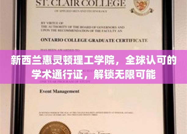 新西兰惠灵顿理工学院，全球认可的学术通行证，解锁无限可能