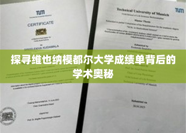 揭开维也纳模都尔大学成绩单的神秘面纱