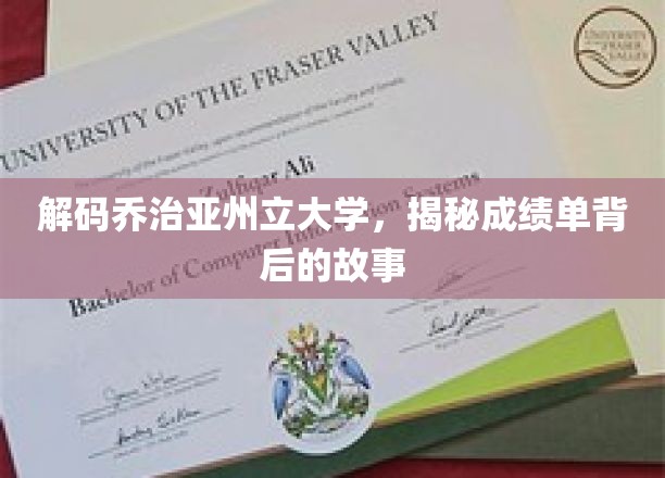 解锁乔治亚州立大学，揭开成绩单的隐藏奥秘