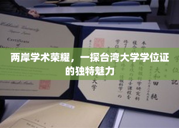 两岸学海同辉，台湾大学学位证背后的文化风情揭秘