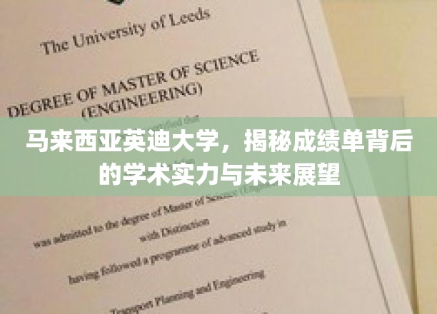 英迪大学，解码成绩单，探寻学术成就与未来潜力