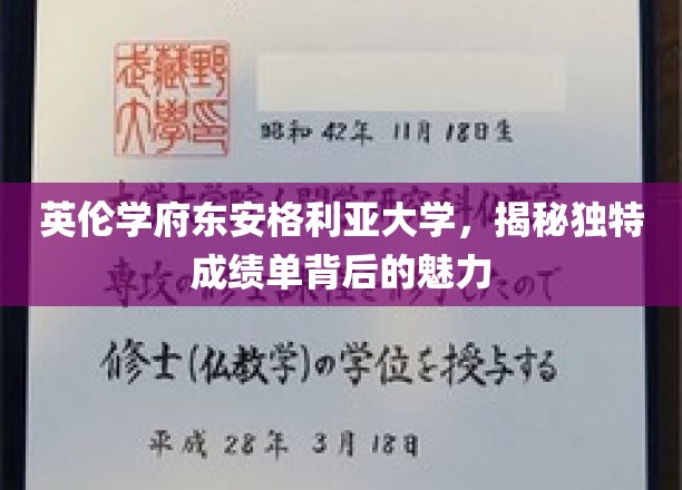 英伦学府东安格利亚大学，揭秘独特成绩单背后的魅力