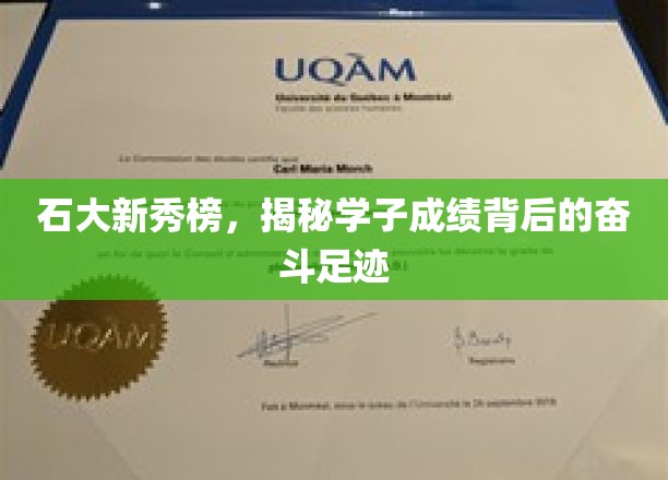 石大新秀榜，探寻学子成绩背后的奋斗历程
