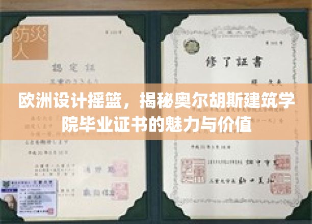 解锁欧洲设计灵魂，奥尔胡斯建筑学院证书的非凡价值与风采