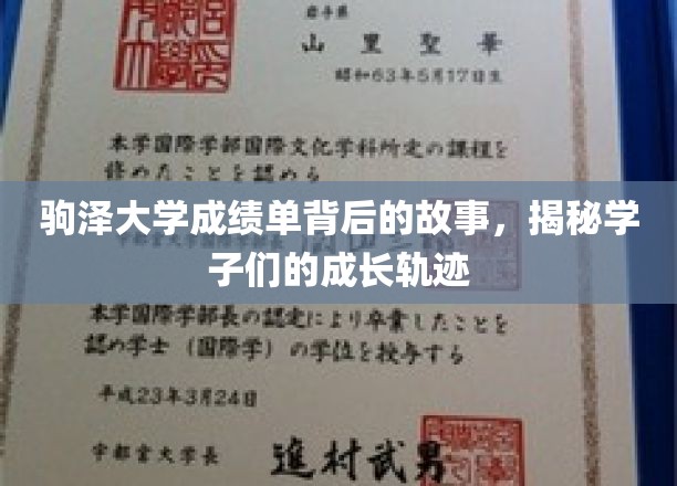 驹泽大学成绩单背后的故事，揭秘学子们的成长轨迹