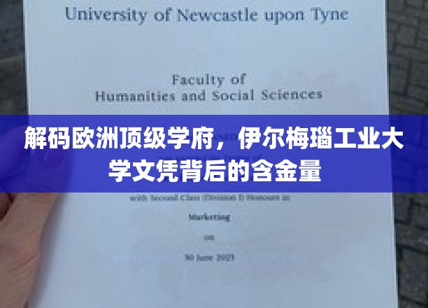 欧洲精英摇篮揭秘，伊尔梅瑙工业大学学位的珍贵价值
