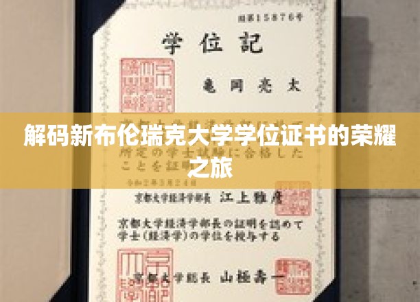 解码新布伦瑞克大学学位证书的荣耀之旅