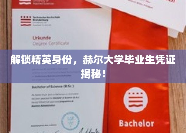 精英之路揭秘，赫尔大学毕业生身份认证背后的秘密