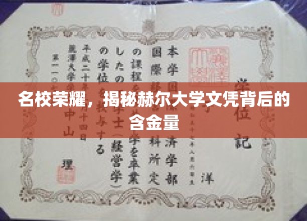 名校光环揭秘，赫尔大学学位的珍贵价值揭秘