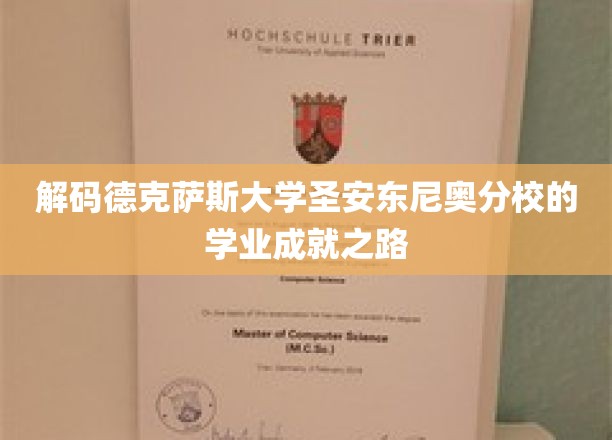 解码德克萨斯大学圣安东尼奥分校的学业成就之路
