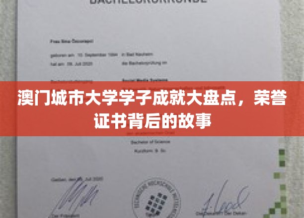 澳门城市大学精英风采，揭开荣誉证书背后的奋斗篇章