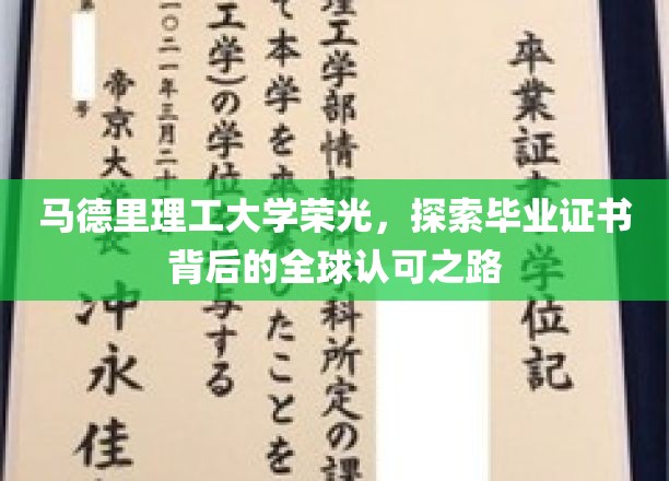 马德里理工大学荣光，探索毕业证书背后的全球认可之路