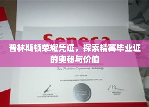解码普林斯顿精英荣耀，毕业证背后的传奇与价值