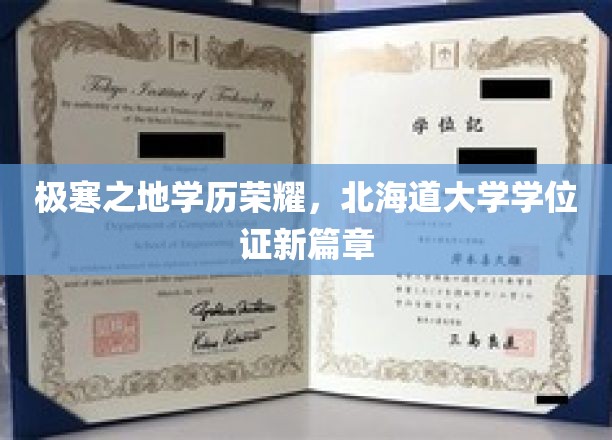 北海道辉煌开启，极寒之地学历新篇章，学位证见证荣耀征程