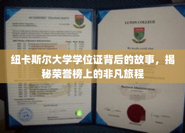 纽大荣耀之路，学位证背后的不凡传奇