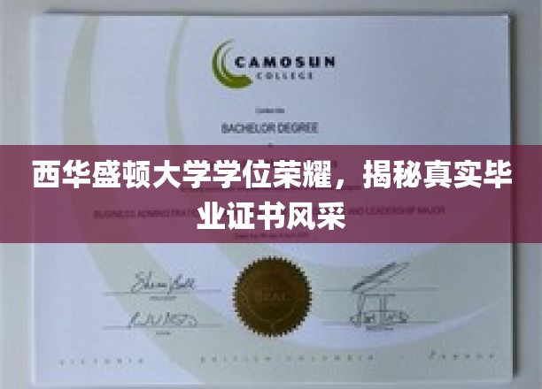 西华盛顿大学学位荣耀，一睹真实毕业证书风采