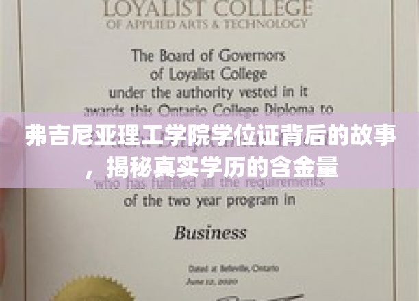 揭秘弗吉尼亚理工学院学位证，探寻学历背后的价值与奥秘