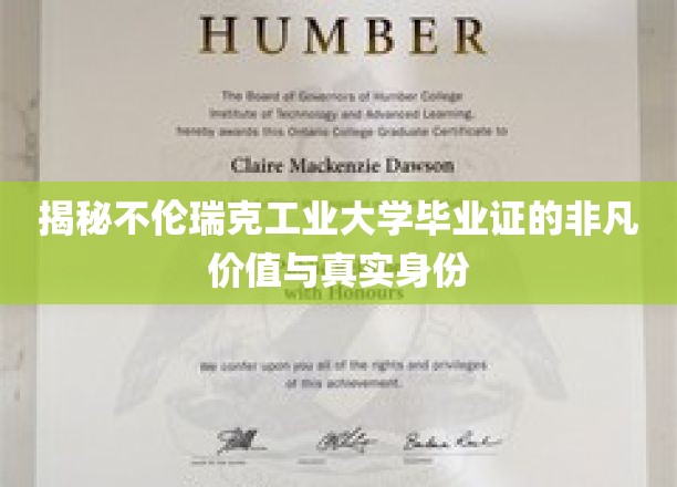 解锁不伦瑞克工业大学文凭的神秘魅力与深层价值