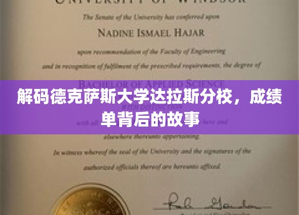 探索德克萨斯大学达拉斯分校成绩单的隐秘面纱