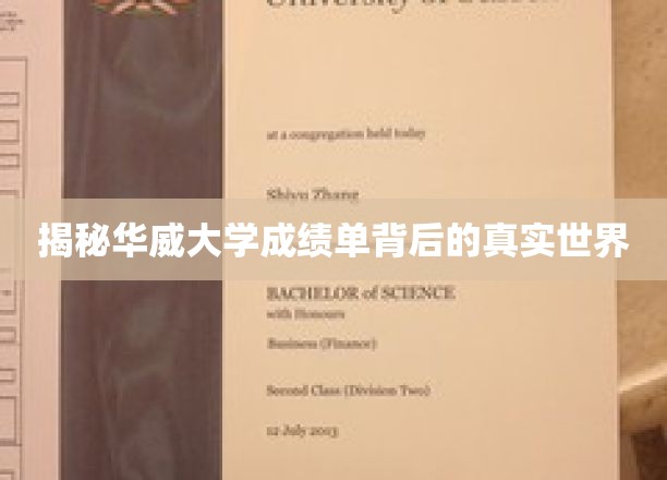探索华威大学成绩单背后的神秘教育版图