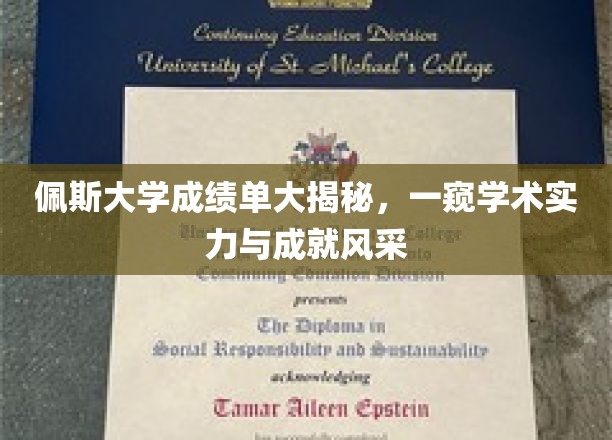 揭开佩斯大学成绩单面纱，探寻学术辉煌与成就之光