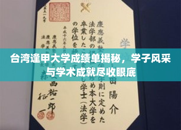 台湾逢甲学子风采大揭秘，成绩单背后的学术实力与青春活力
