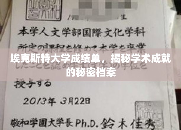 埃克斯特大学成绩单，揭秘学术成就的秘密档案