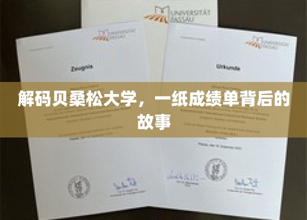 探寻贝桑松大学，成绩单背后的精彩人生篇章