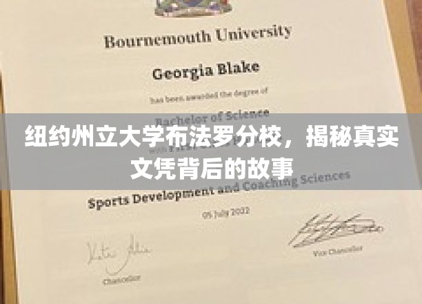 布法罗分校文凭之谜，揭开纽约州立大学背后的真实教育面纱