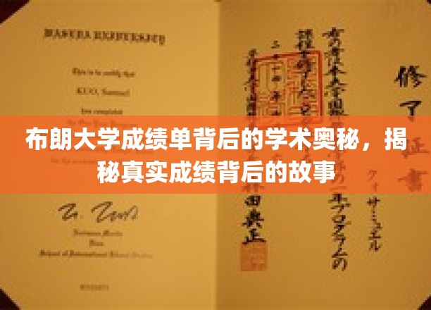 布朗大学成绩单背后的学术奥秘，一探究竟真实成绩背后的故事