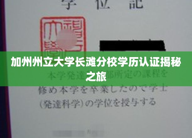 加州州立大学长滩分校学历认证揭秘之旅