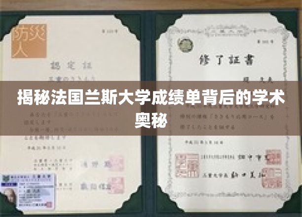探寻兰斯大学成绩单的神秘学门