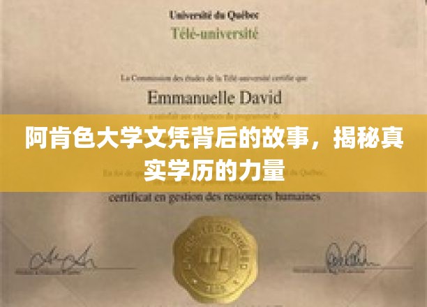 阿肯色大学文凭背后的传奇，一纸学历如何改变命运