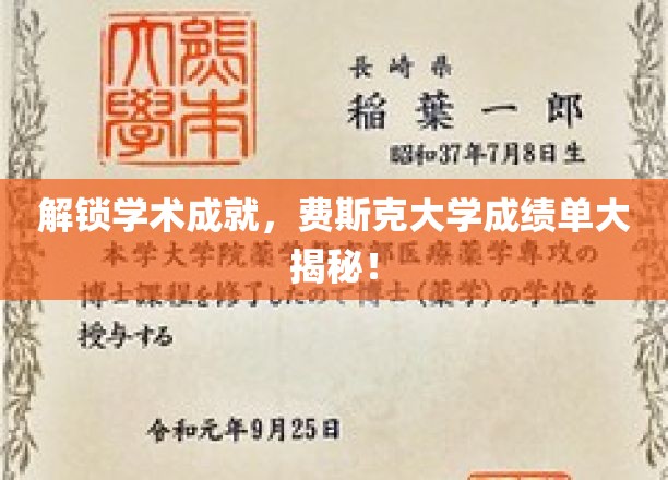 解码学术辉煌，费斯克大学成绩单背后的秘密档案