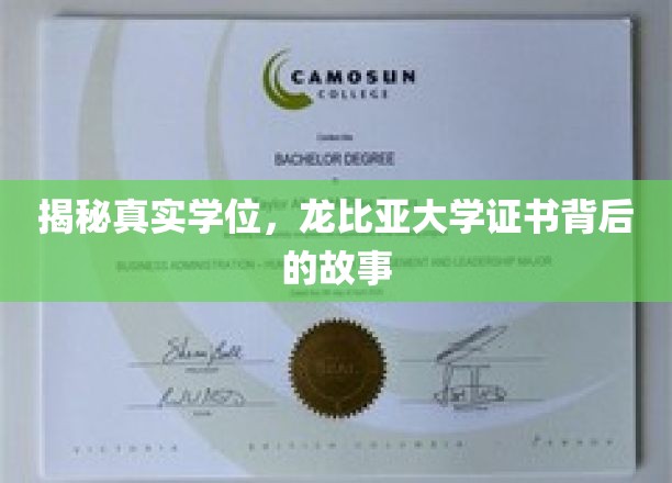 揭秘龙比亚大学，学历背后的真相与传奇