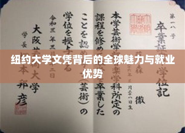 纽约大学文凭背后的全球影响力与职业优势