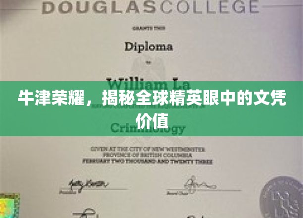 牛津光芒，全球精英视角下的文凭含金量大揭秘