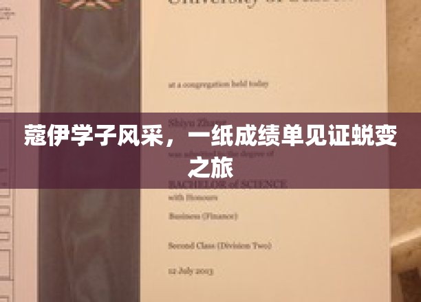 成绩斐然，蔻伊学子蜕变之旅闪耀校园