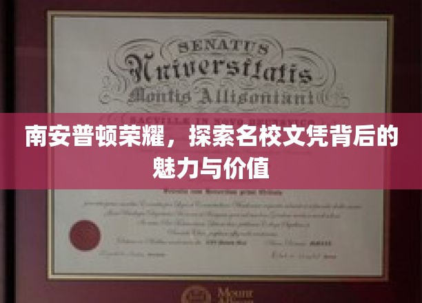 解码南安普顿荣耀，名校文凭的非凡魅力与深层价值