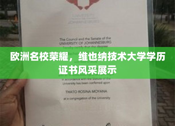 欧洲精英学府名片，维也纳技术大学证书闪耀全球