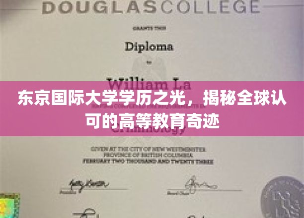 东京国际大学荣耀之路，探索国际认可的卓越教育典范