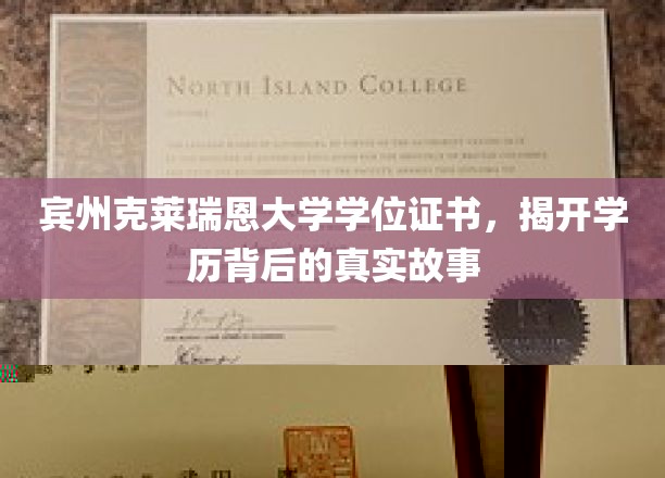 宾州克莱瑞恩大学证书之谜，探寻学历背后的真实传奇