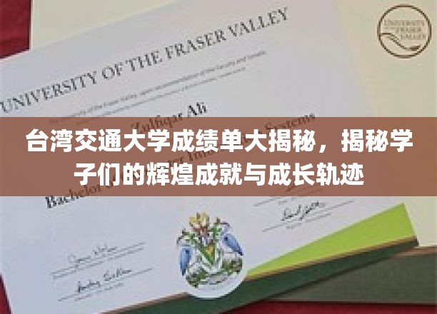 解码台交大成绩单，学子辉煌成就与成长轨迹全解析