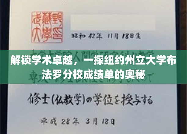 探索学术卓越，一窥纽约州立大学布法罗分校成绩单的奥秘