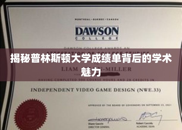 揭秘普林斯顿大学成绩单背后的学术魅力