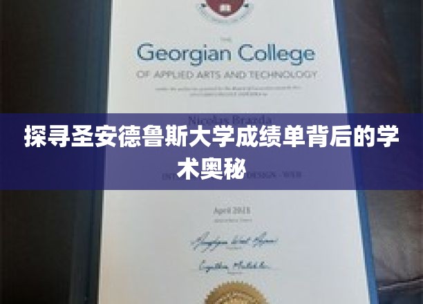 揭开圣安德鲁斯大学成绩单的神秘面纱