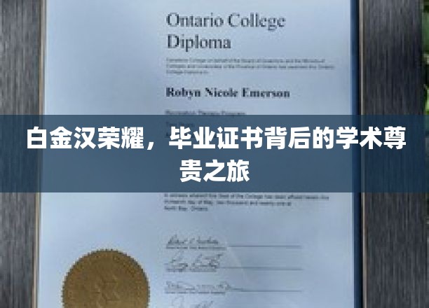 白金汉荣耀揭秘，毕业证书背后的学术尊贵旅程全记录
