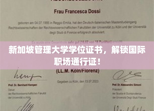 新加坡管理大学学位证书，解锁国际职场通行证！