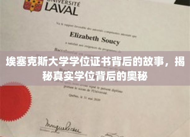 埃塞克斯大学学位证书背后的故事，揭秘真实学位背后的奥秘
